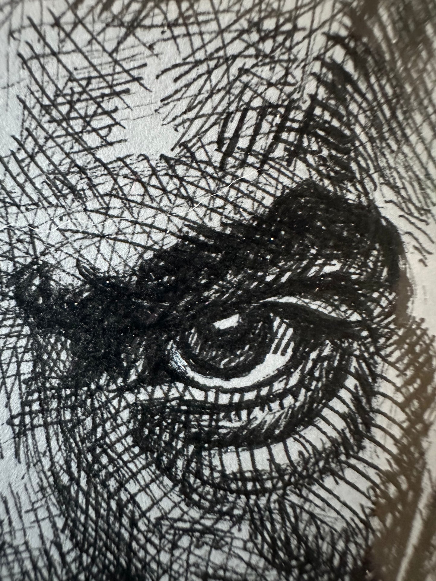 MugshotNO2